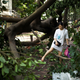Image for article titled Photos: Super Typhoon Mangkhut mangles all in its path